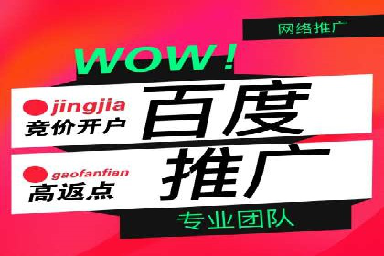 百度推广费用在不同行业的投放技巧与案例